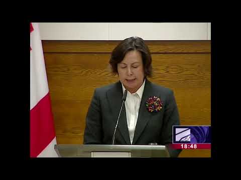 სავალუტო ფონდი საქართველოს დაფინანსებას გაუგრძელებს